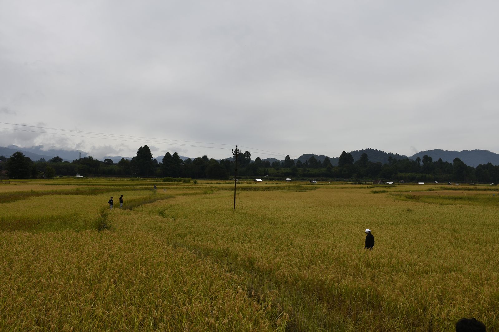 Ziro Music Festival moment 4 — BreakBag
