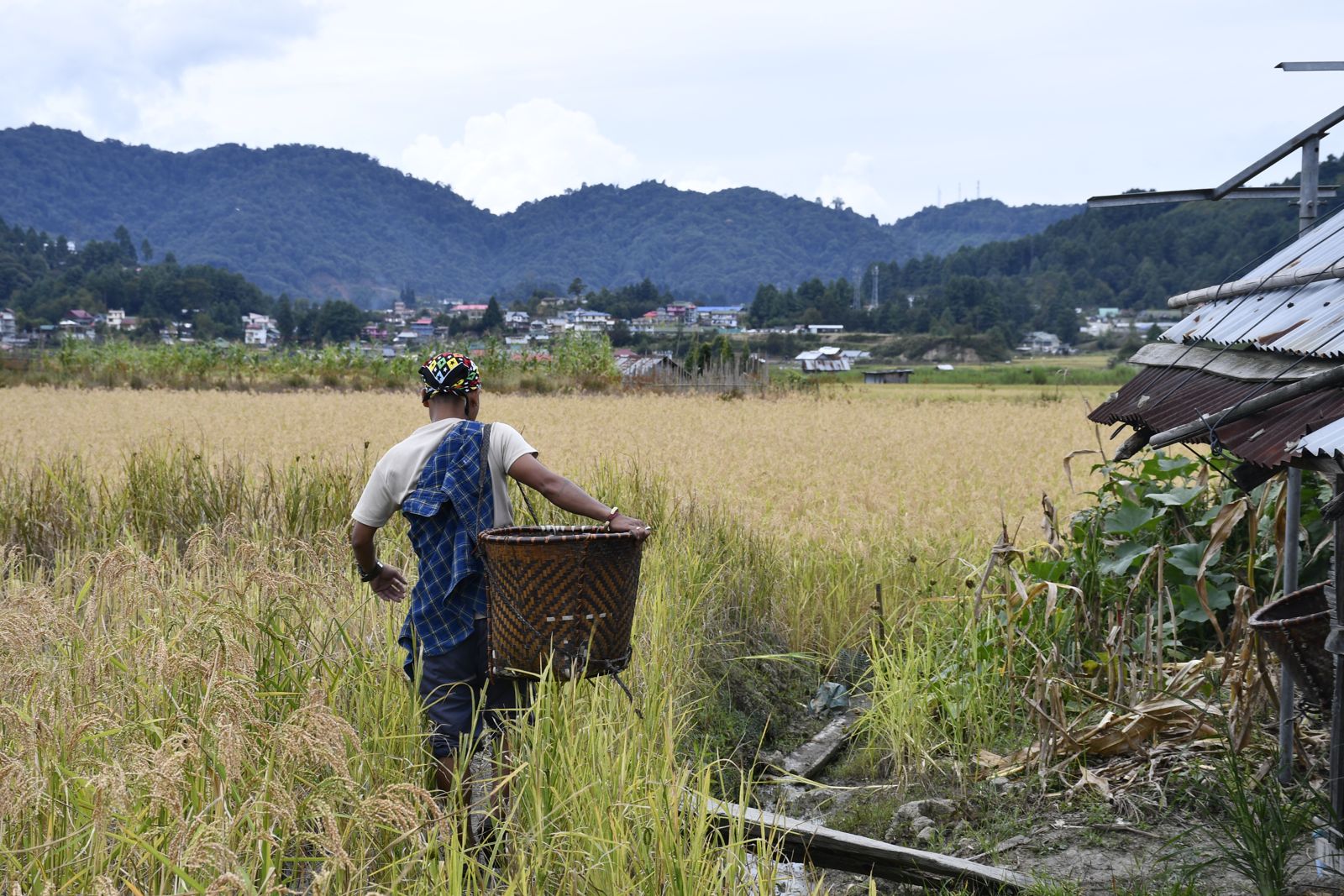 Ziro Music Festival moment 21 — BreakBag