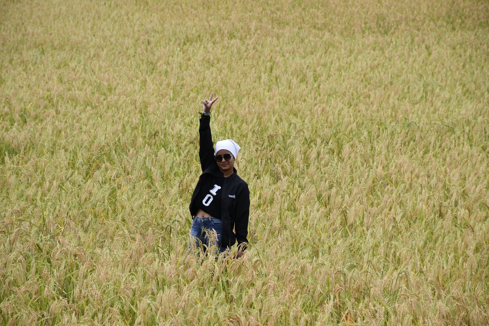 Ziro Music Festival moment 3 — BreakBag
