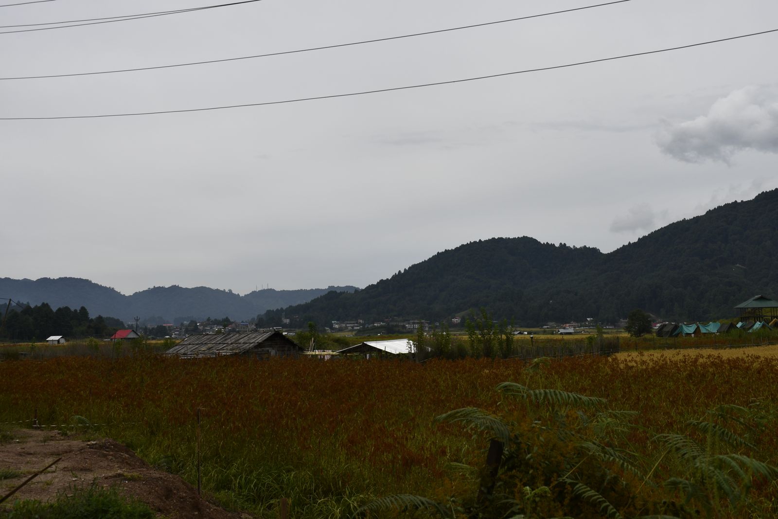 Ziro Music Festival moment 9 — BreakBag