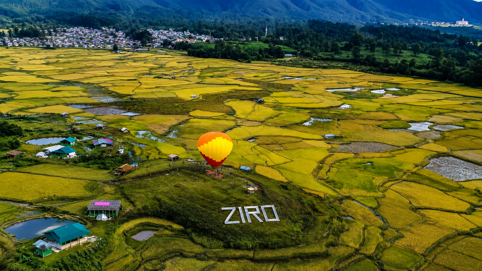 Ziro Valley terraced rice fields with pine hills